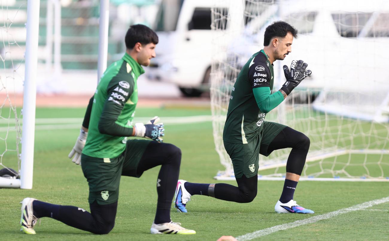 Selección Boliviana, Fecha FIFA, Partidos amistosos