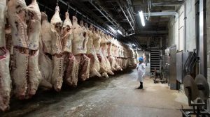 carne para exportación