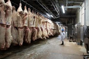 carne para exportación