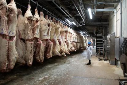 carne para exportación