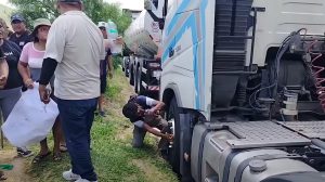 vecinos