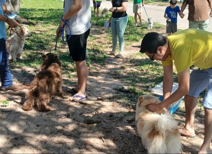 vacunacion canina