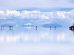 Paisaje surrealista en el salar más grande del mundo