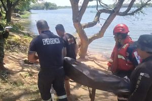Personal de bomberos y unidades de emergencia