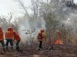 Bomberos en un incendio