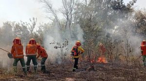 Bomberos en un incendio
