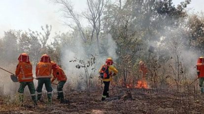 Bomberos en un incendio