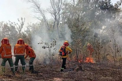 Bomberos en un incendio