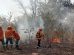 Bomberos en un incendio