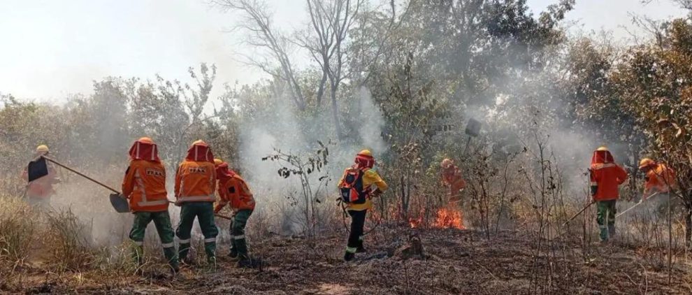 Bomberos en un incendio