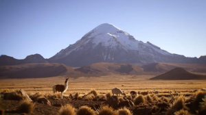 Parque Nacional Sajama