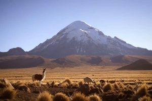 Parque Nacional Sajama