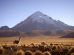 Parque Nacional Sajama