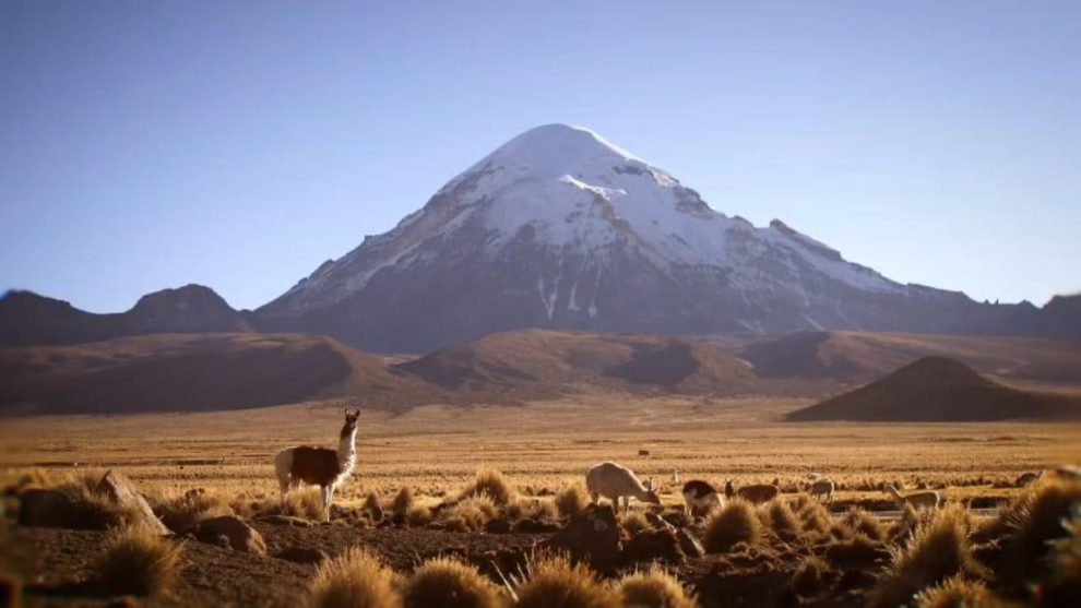 Parque Nacional Sajama