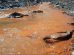 río contaminado