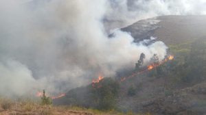 incendio forestal