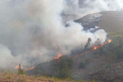 incendio forestal