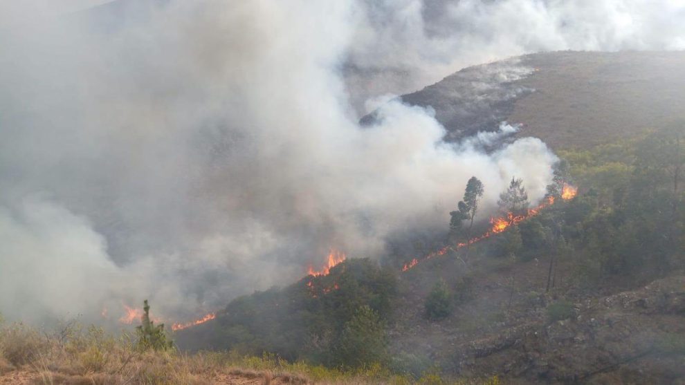 incendio forestal