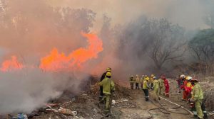 Bomberos y las diferentes unidades se encuentran desplegados trabajando intensamente ante los incendios registrados