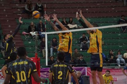 Liga Superior de Voleibol, Club San Martín, Club Albert Einstein