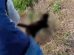 Una persona maltratando un gato