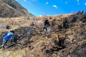 Incendio forestal