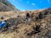 Incendio forestal
