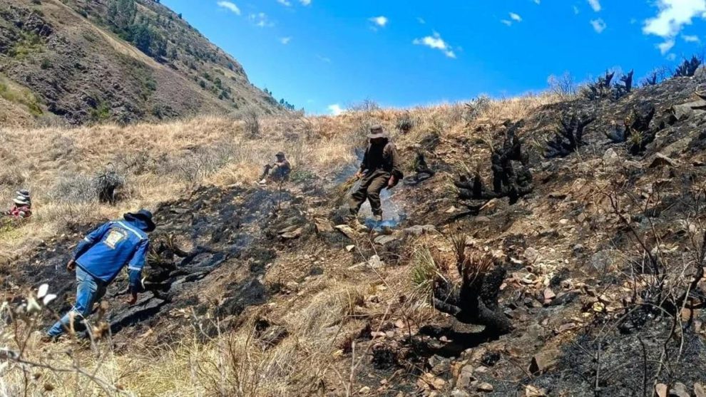 Incendio forestal