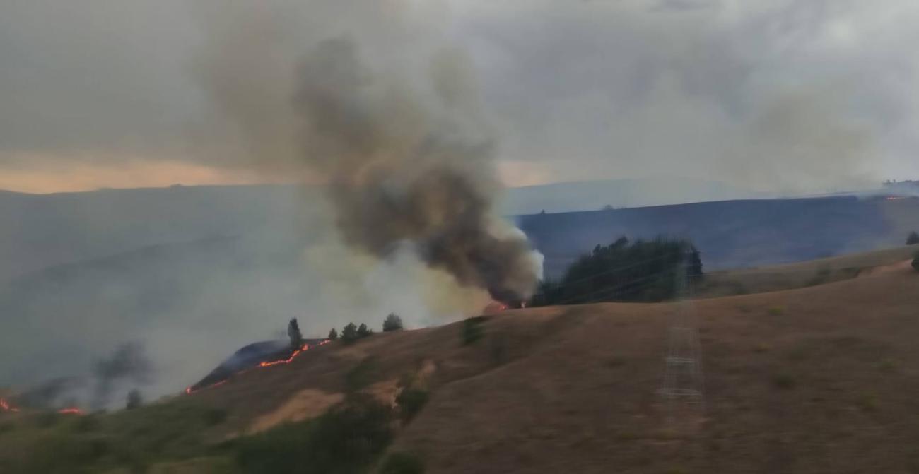 incendio forestal