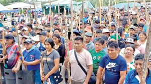 Sectores evistas en el trópico de Cochabamba