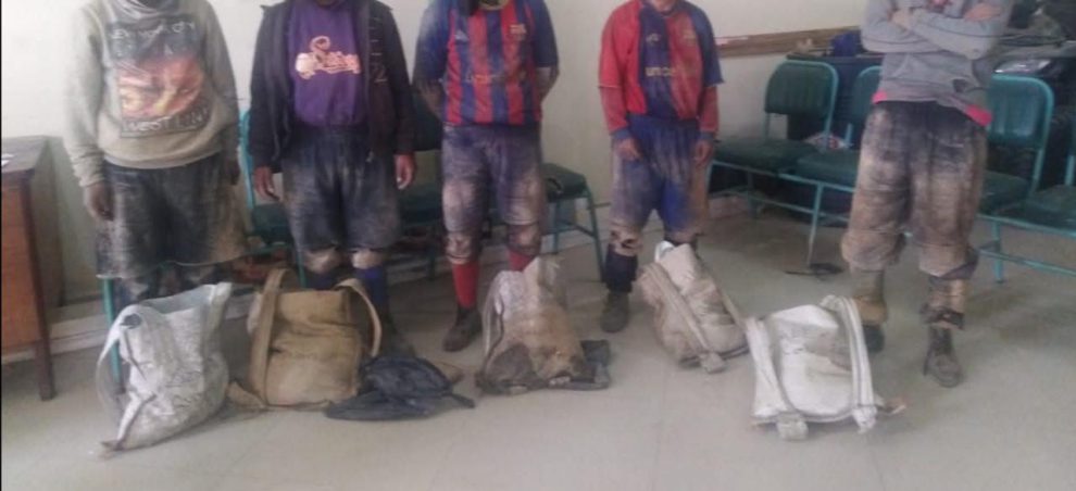 Imagen de los aprehendidos