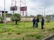 Inspección ambiental y de reforestación