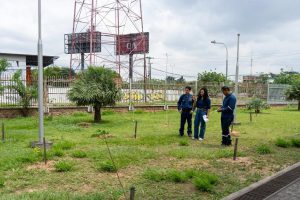 Inspección ambiental y de reforestación