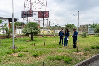Inspección ambiental y de reforestación