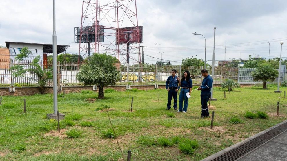 Inspección ambiental y de reforestación