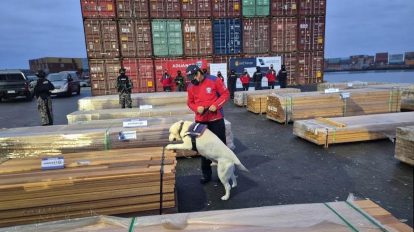 madera comisada en Chile
