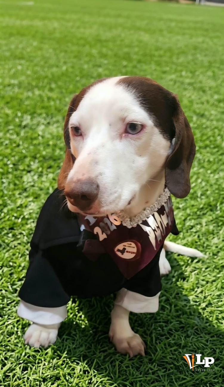 excursión Club Salchicha Oruro