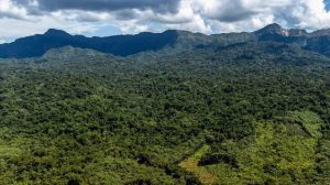 Vista panorámica de una área protegida