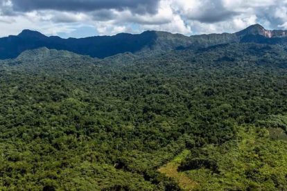 Vista panorámica de una área protegida