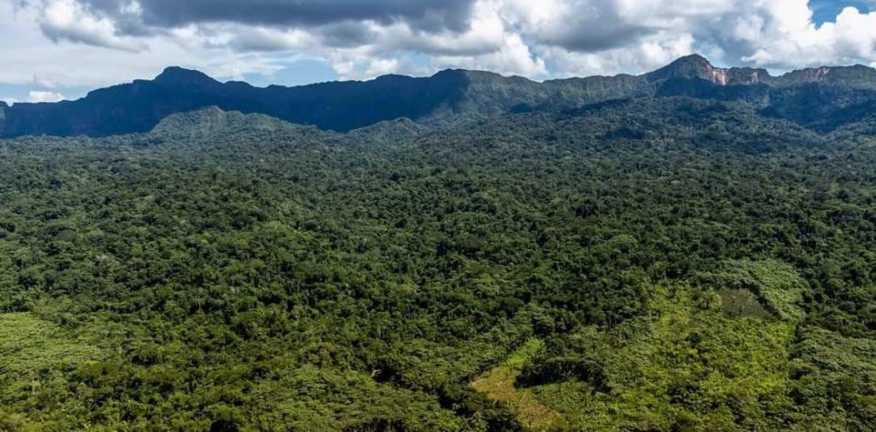 Vista panorámica de una área protegida