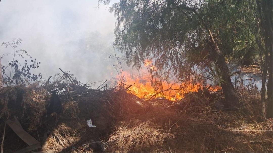 Controlaron el incendio en los exteriores del predio