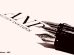 logo ANP