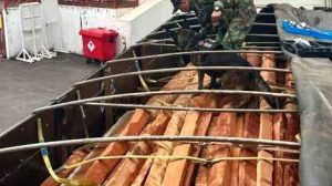 Agentes de la FELCN y canes detectores inspeccionan la madera