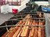 Agentes de la FELCN y canes detectores inspeccionan la madera