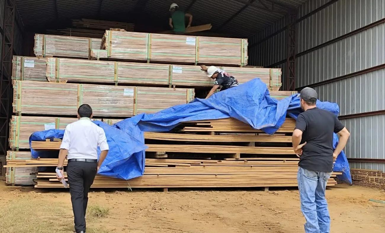 Personal de la Fiscalía recolecta muestras de madera para realizar pruebas químicas de laboratorio