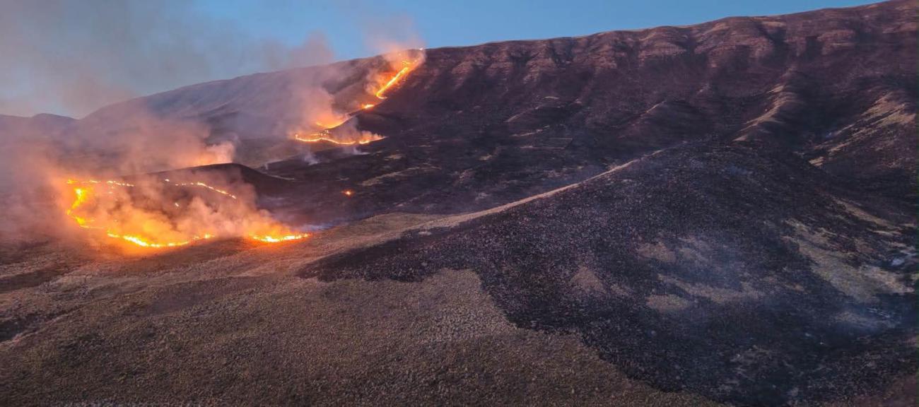 Imagen del incendio