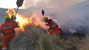 Imagen del incendio