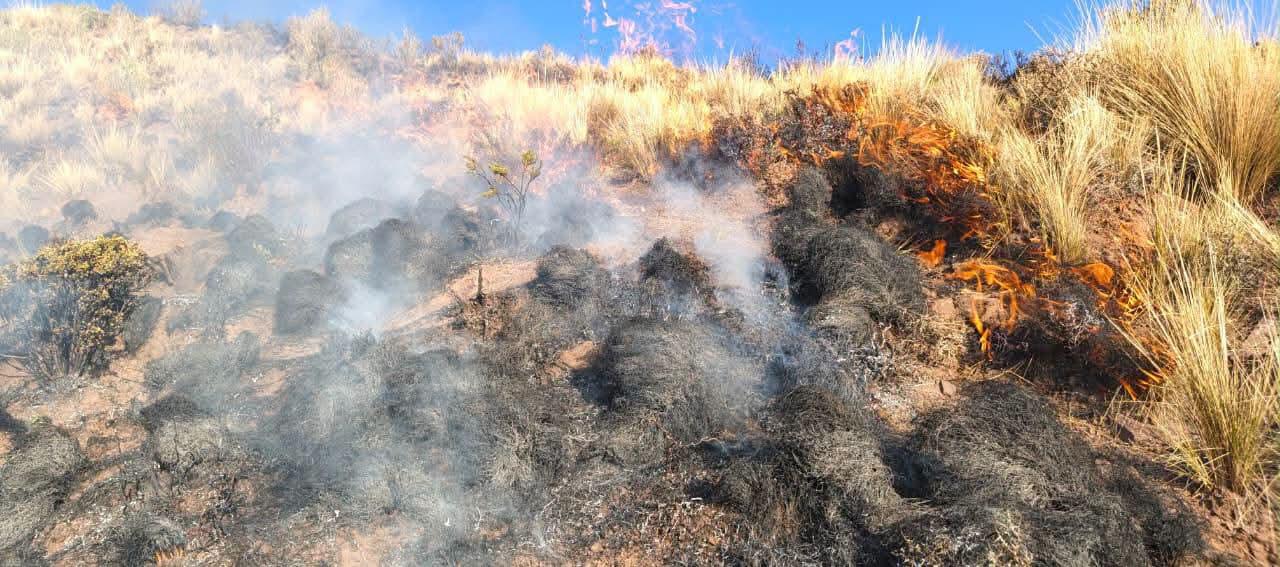 Imagen del incendio