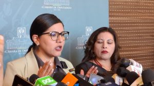 La diputada Claros en conferencia de prensa