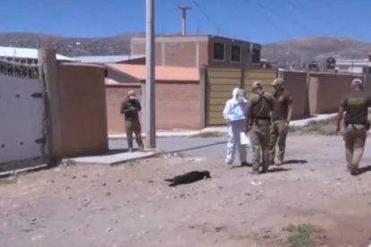 FELCDA,  investiga el caso tras la denuncia de los vecinos